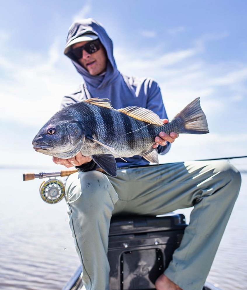 COSTA Sunglasses - Born On The Water
