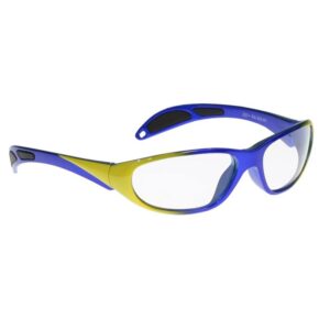 Radiation Safety Glasses Model 208