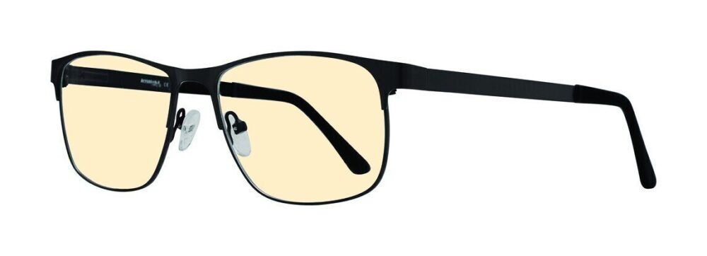 Eight to Eighty Chevy Computer Glasses