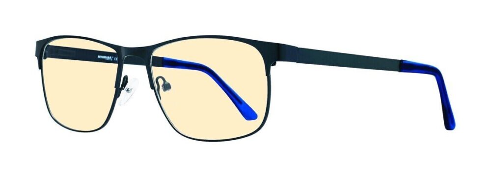 Eight to Eighty Chevy Computer Glasses