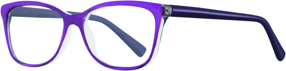 Equinox 313 Computer Glasses