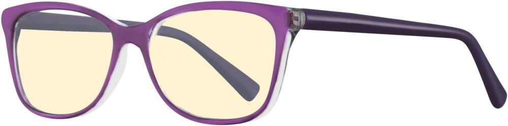 Equinox 313 Computer Glasses