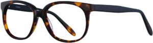 Genius 521 Computer Glasses