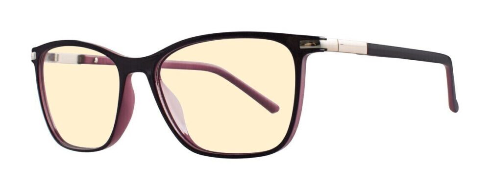 Eight to Eighty Heidi Computer Glasses