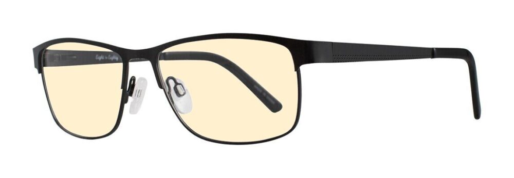 Eight to Eighty Ken Computer Glasses