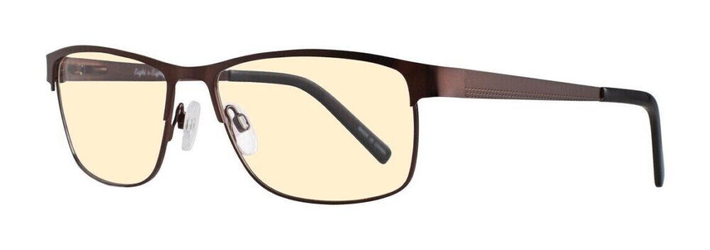 Eight to Eighty Ken Computer Glasses