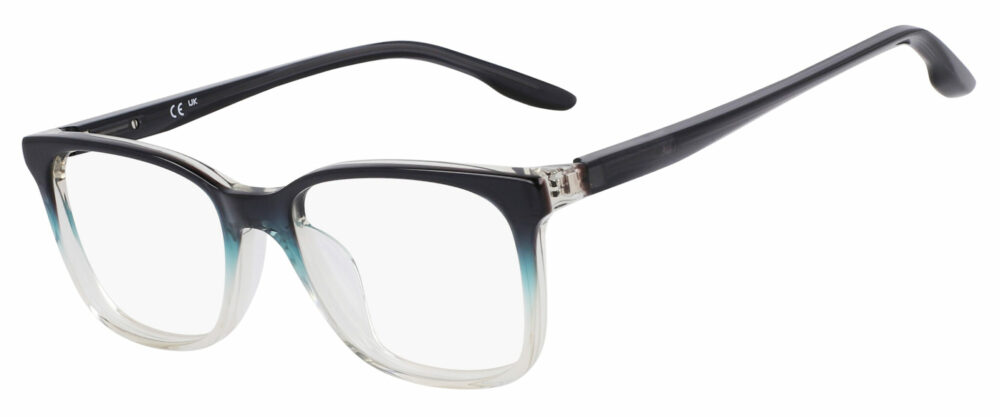 Radiation Glasses Nike 5054